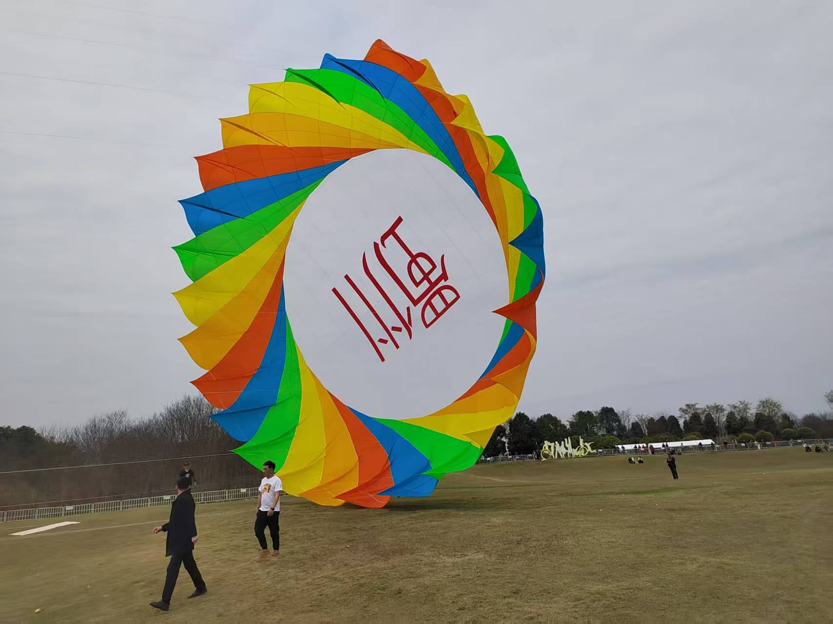 濮阳市宣传风筝定制风筝批发 - 厂家