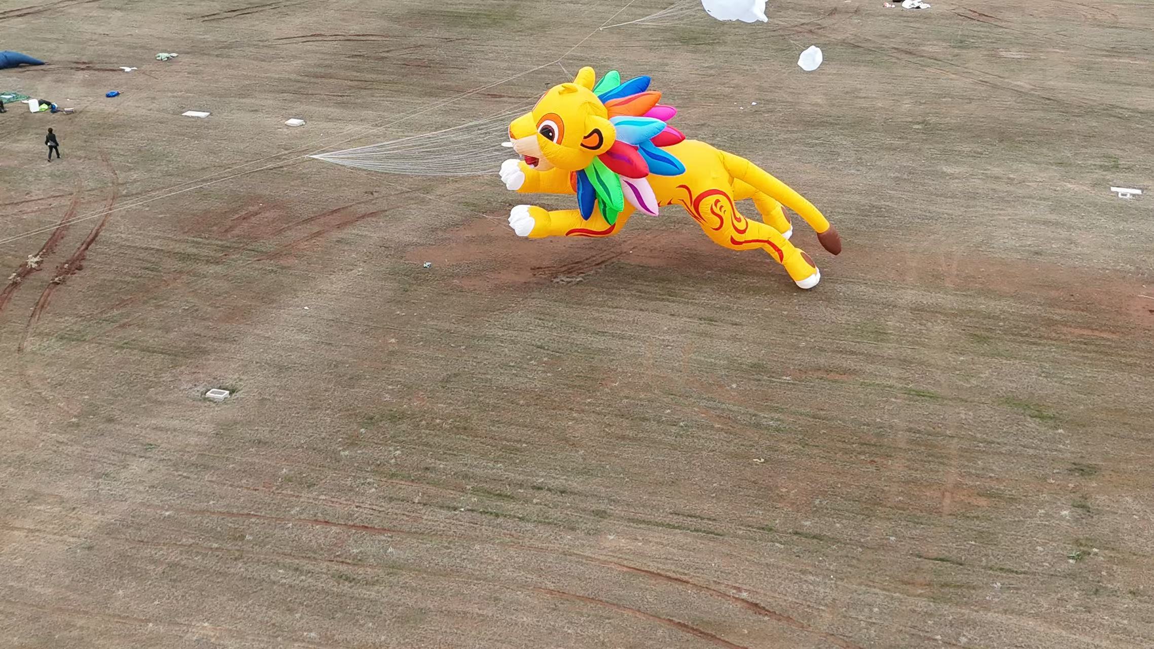 濮阳市品牌风筝定制风筝定制 - 方案