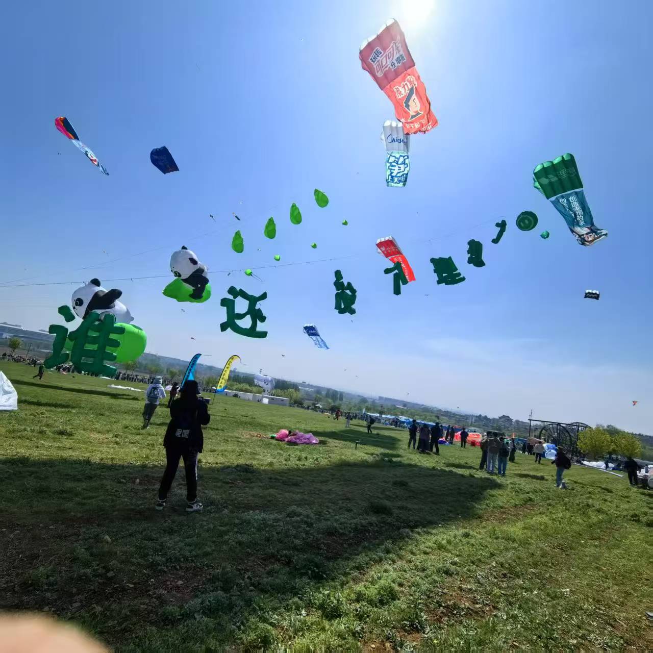 濮阳市风筝DIY风筝定制 - 排名